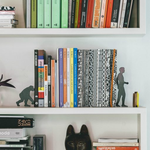 doiy-evolution-bookends-v2.jpg